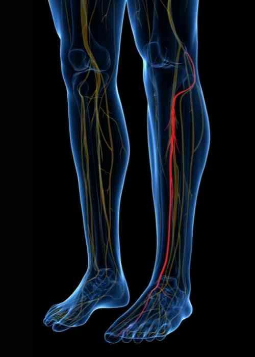 Nerve health